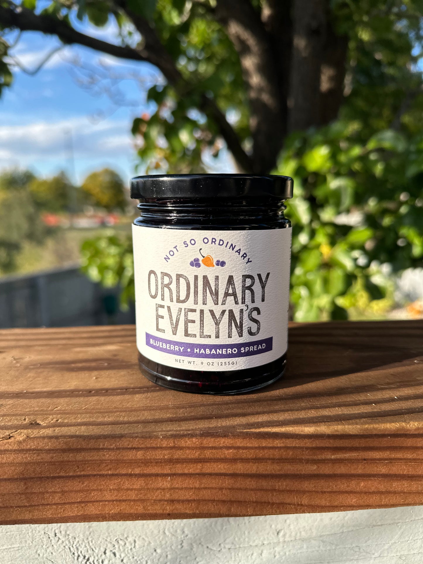 Blueberry Habanero Spread